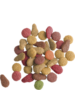 Lara kattefoder med laks 10 kg.