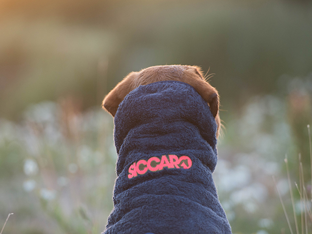 Siccaro Supreme hundekåbe - GRANIT