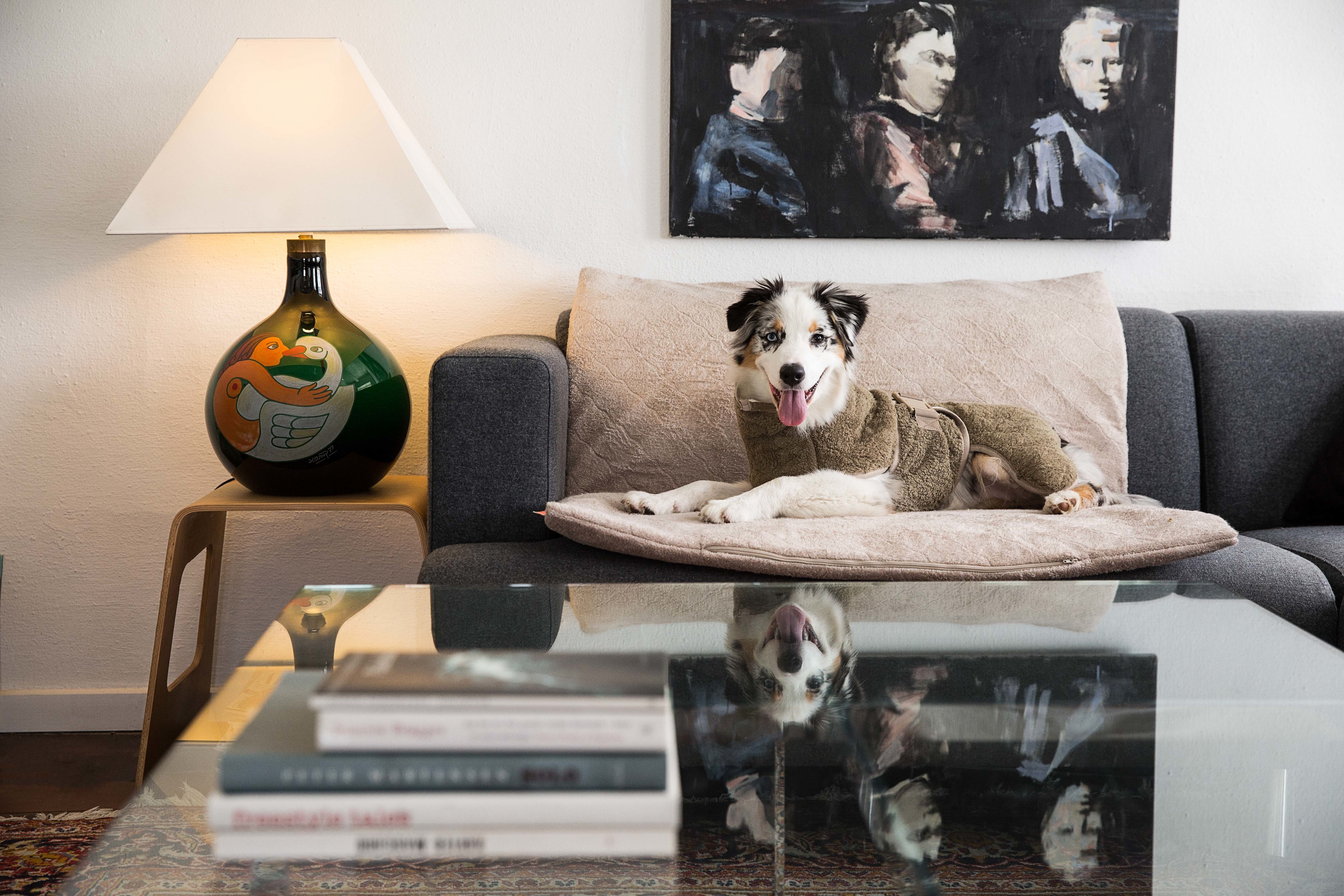 Siccaro Supreme hundekåbe - Olive