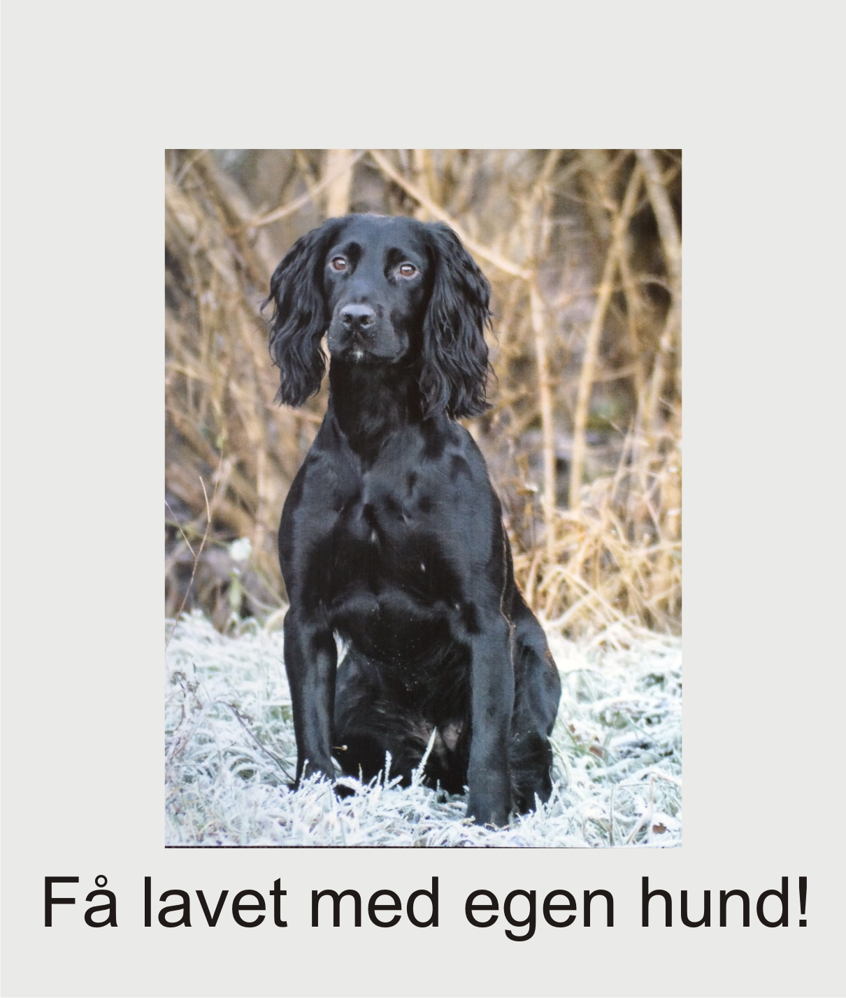 Få dit eget billede på stål 00008