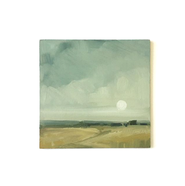 Moonlit Field 00051
