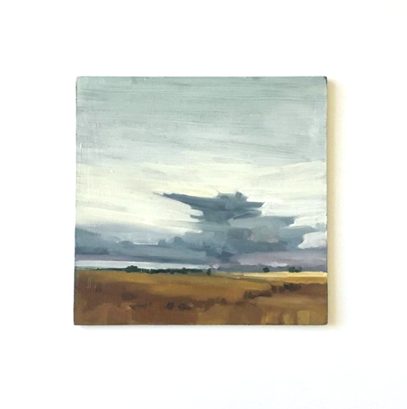 Low Over the Fields 00059