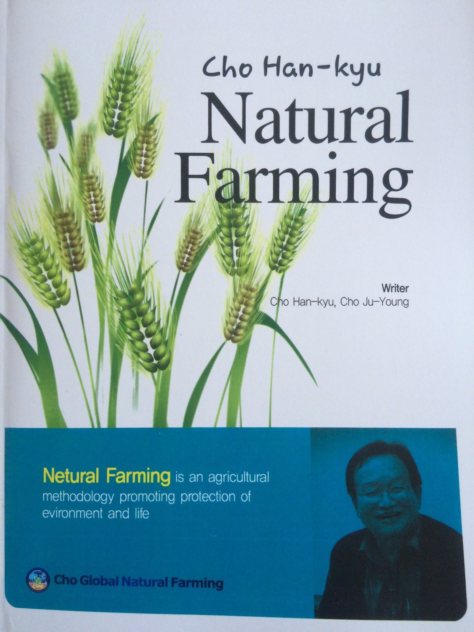 Master Cho Theory (Book) INTERNATIONAL--OUTSIDE USA SHIPPING ONLY