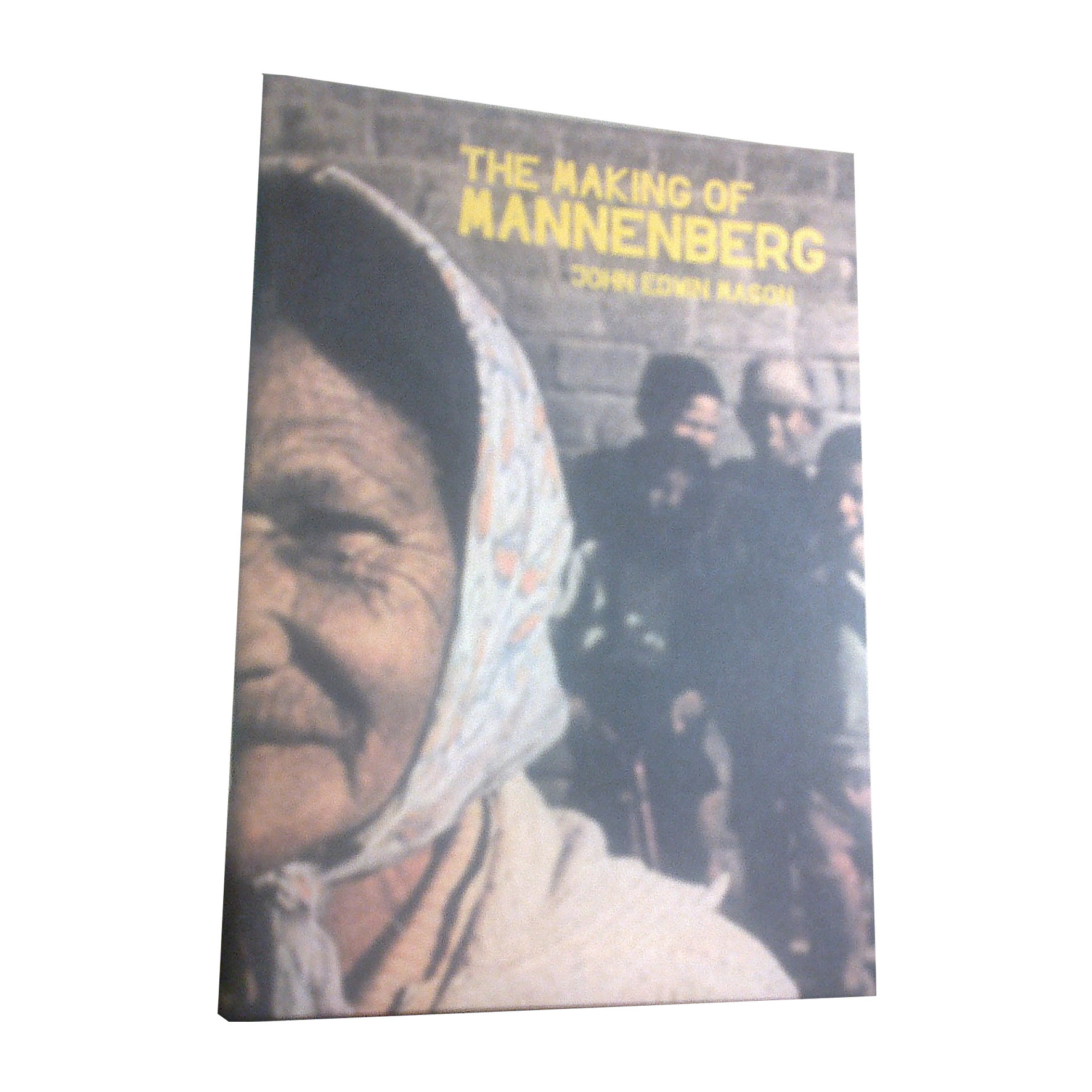 Chimurenganyana Series 2: The Making of Manenburg by John Edwin Mason (June 2012) CN01