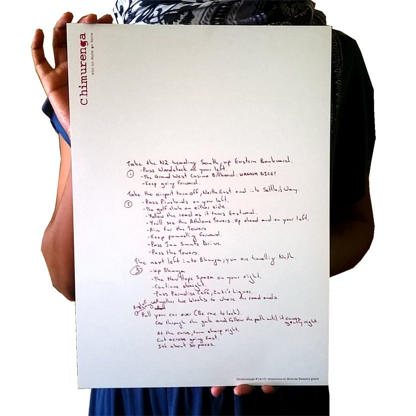 Chimurenga 12/13: Dr. Satan’s Echo Chamber (Extract Art No.2) CAP08