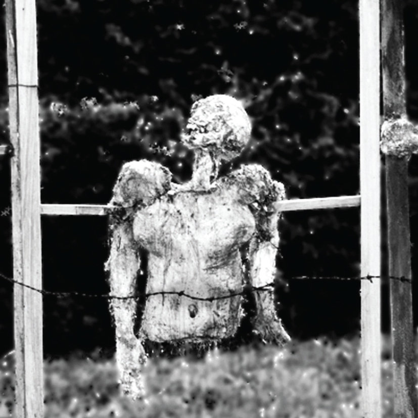 Chimurenganyana Series 1: Blood Money - A Douala Chronicle by Dominique Malaquais (2009)