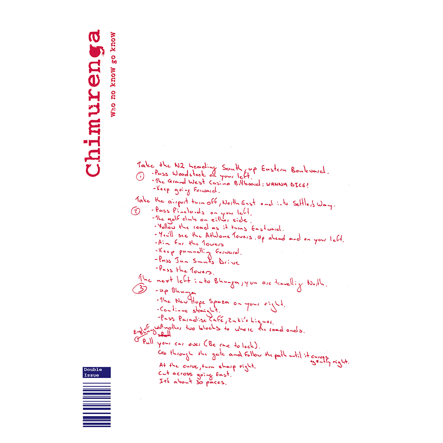 Chimurenga 12/13 - Dr Satan’s Echo Chamber (Double-Issue March 2008) Digital CJD0308