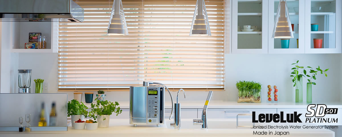 Kangen Alkaline Water Filter machine London UK