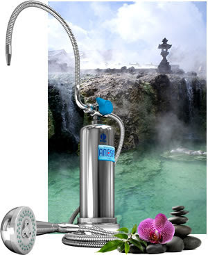 Anespa DX Home Spa System 00013