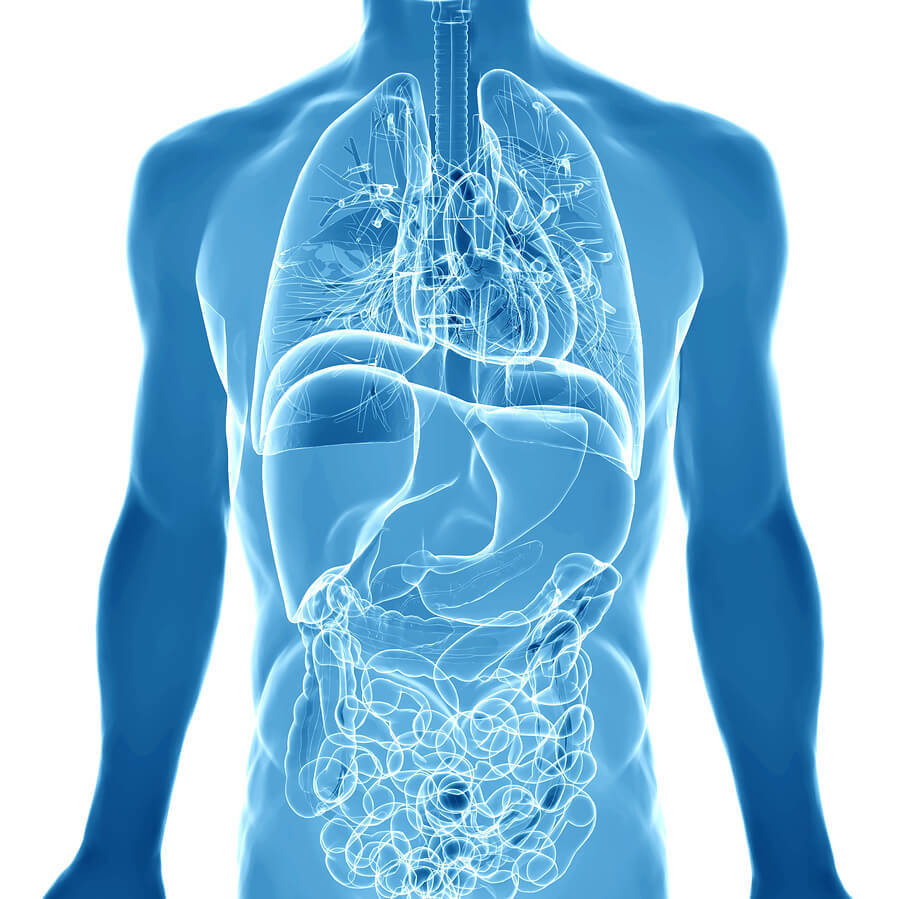 kangen alkaline water filter machine cancer