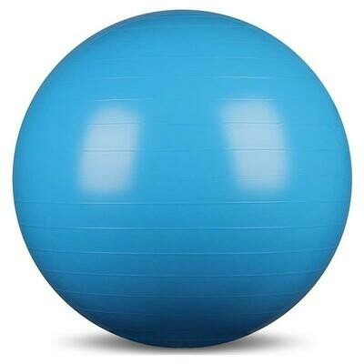 Pro's Pro. Гимнастический шар Gym Ball Pro's Pro. Гимнастический шар Gym Ball
