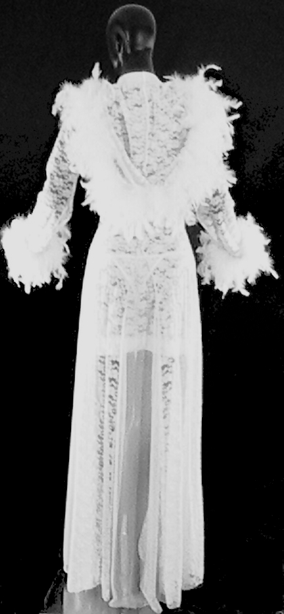Back view of sexy Bride Robe