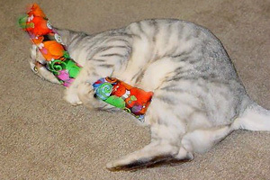 Kitty Kickers! PRO25