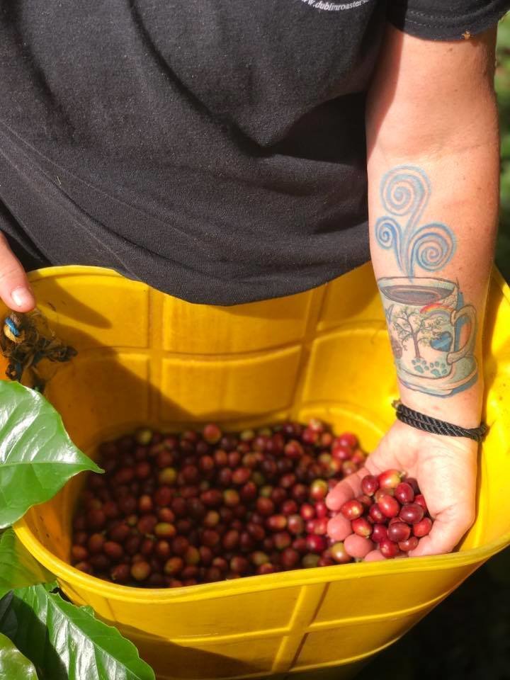 Colombian Santa Maria Blend- New from our June trip!