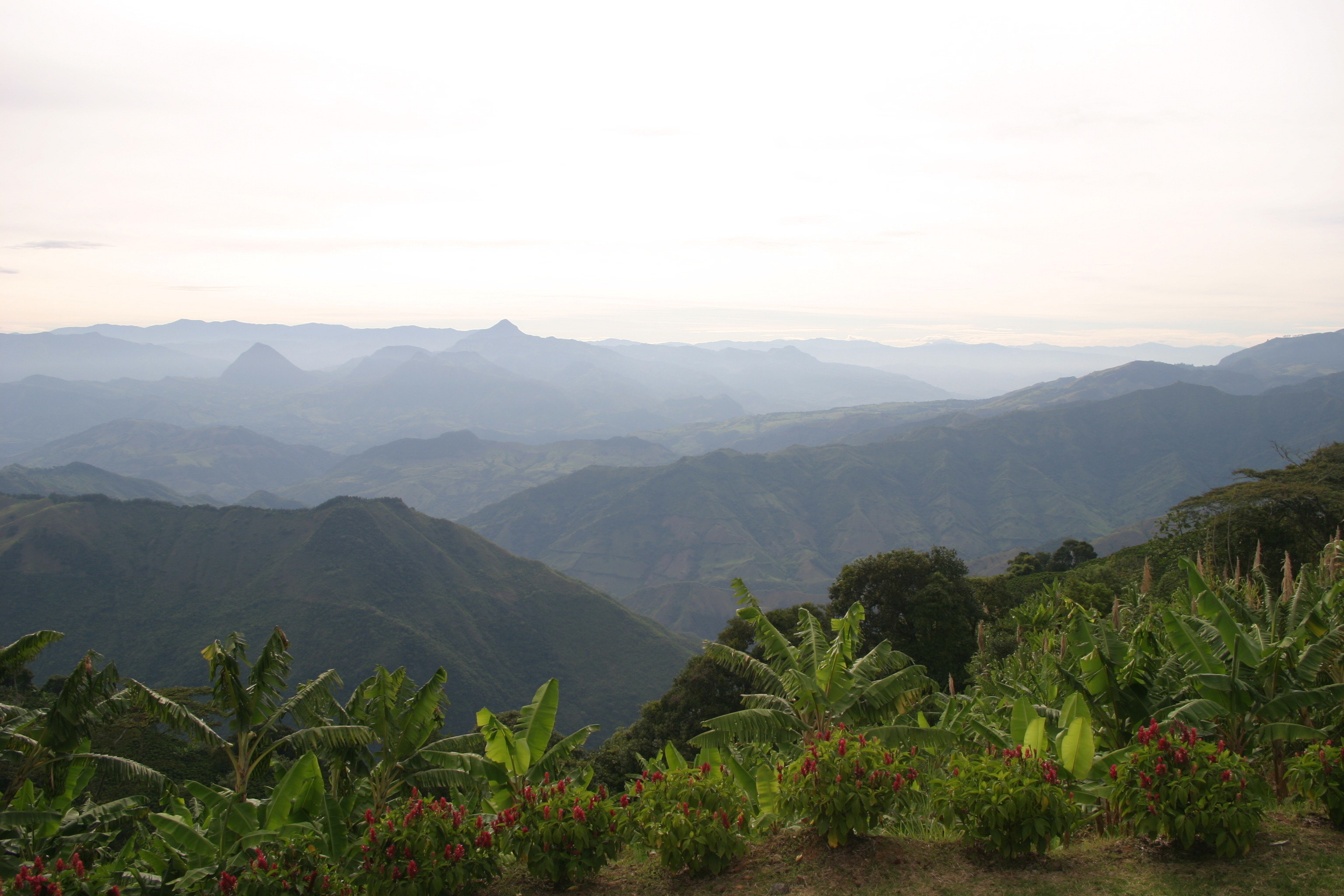 Colombian Santa Maria Blend- New from our June trip!