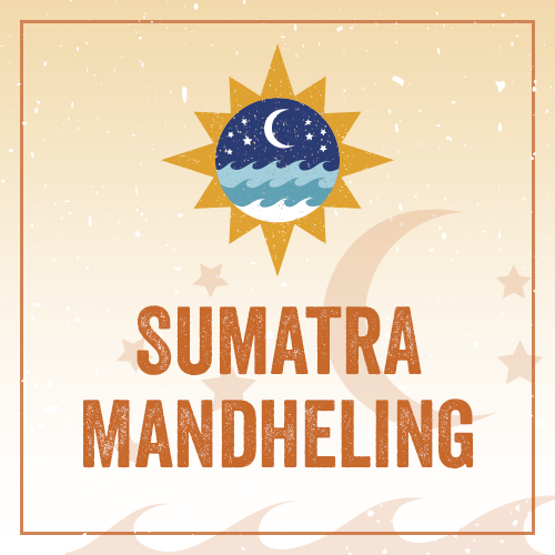 Sumatra Mandheling REG31