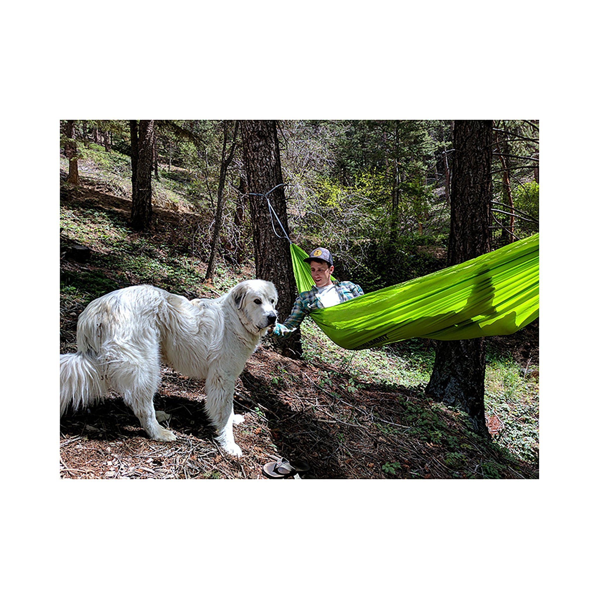 Sea to Summit Pro Hammock
