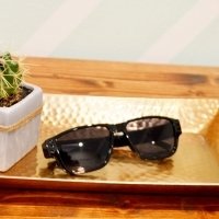 Covert Surveillance Sunglasses