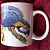 Blue and Gold Macaw - Ceramic Mug 00006