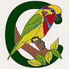 #19 Edward's Fig Parrot - CITES Pins 119