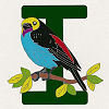 #20 Paradise Tanager - CITES Pins 120