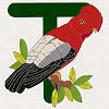 #21 Cock of the Rock - CITES Pins 121