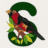 #23 Black Bearded Barbet - CITES Pins 123