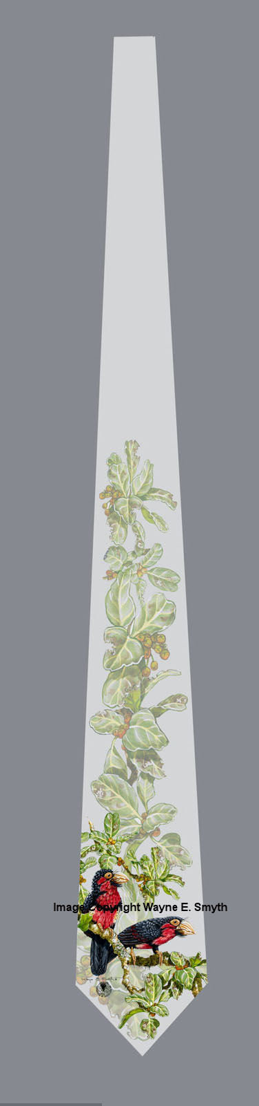 Bearded Barbets - Neckties 00021