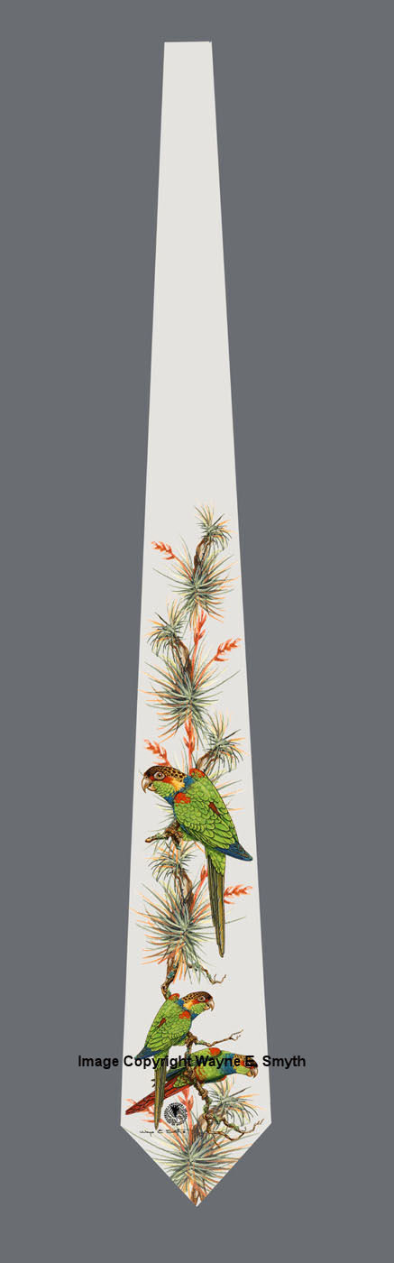 Blue Throated Conures - Neckties 00022