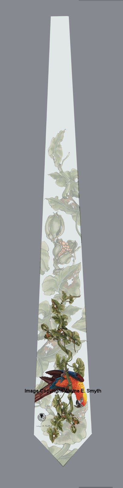 Cuban Macaw - Neckties 00023