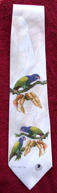 Blue-Headed Pionus - Neckties 00028