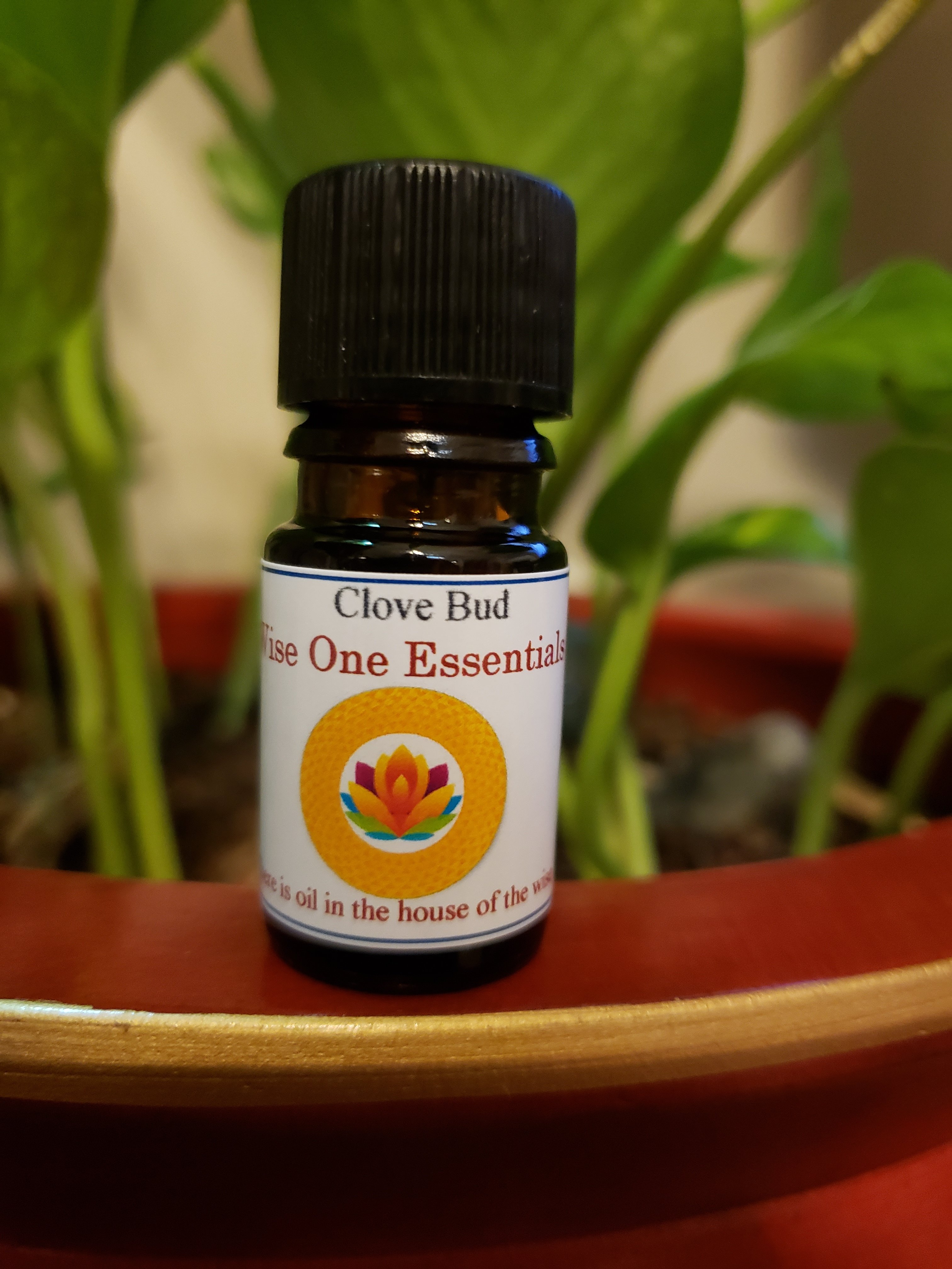 Clove Bud Essential Oil (5ml) 57-5