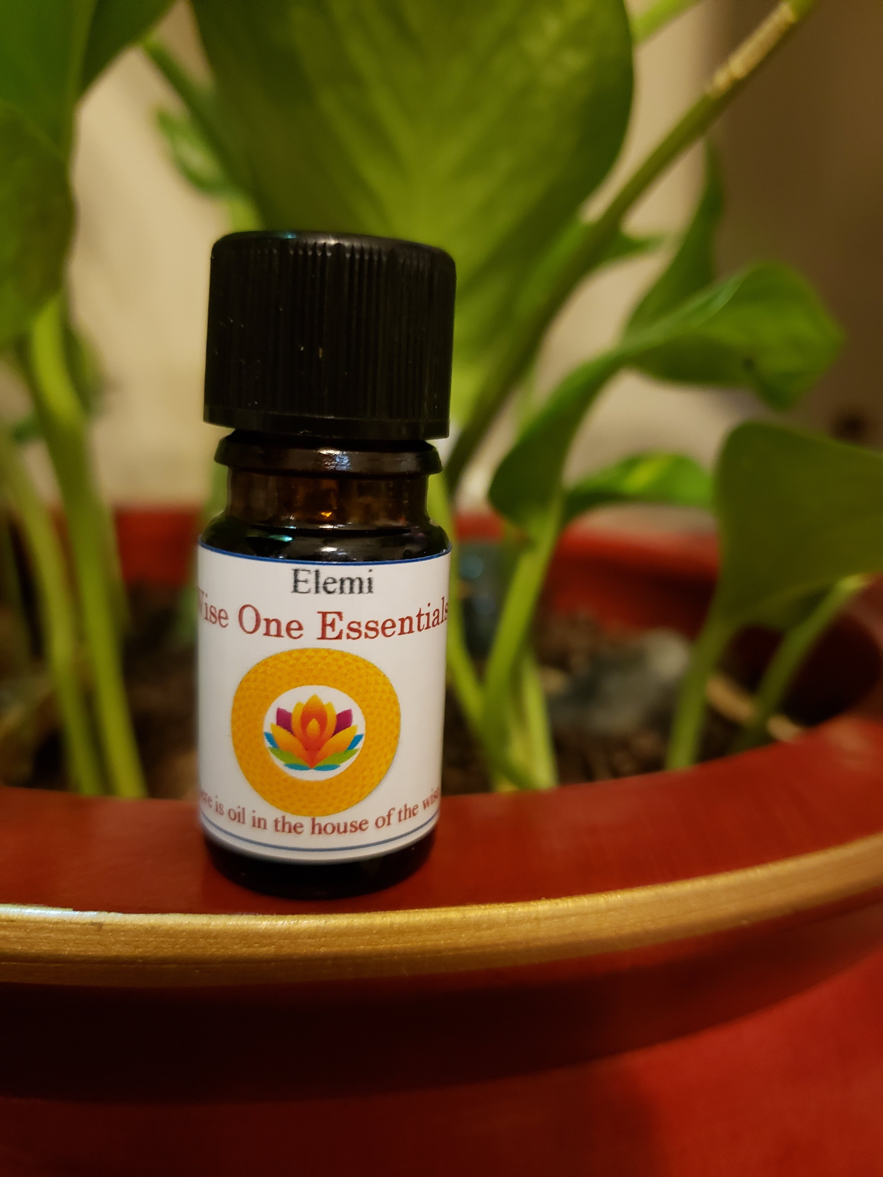 Elemi Essential Oil (5ml) 62-5