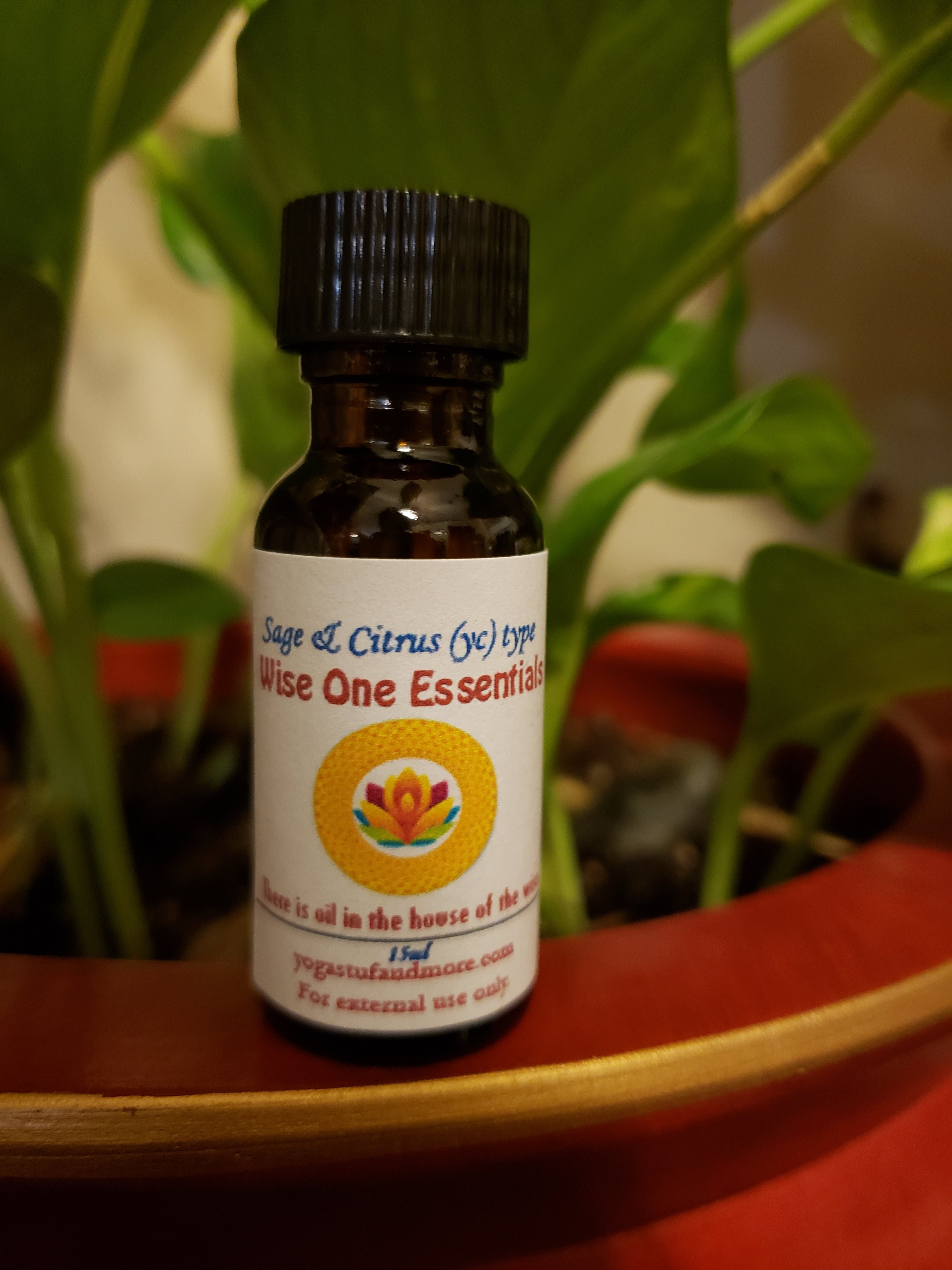 Sage & Citrus (yc) type psagei2