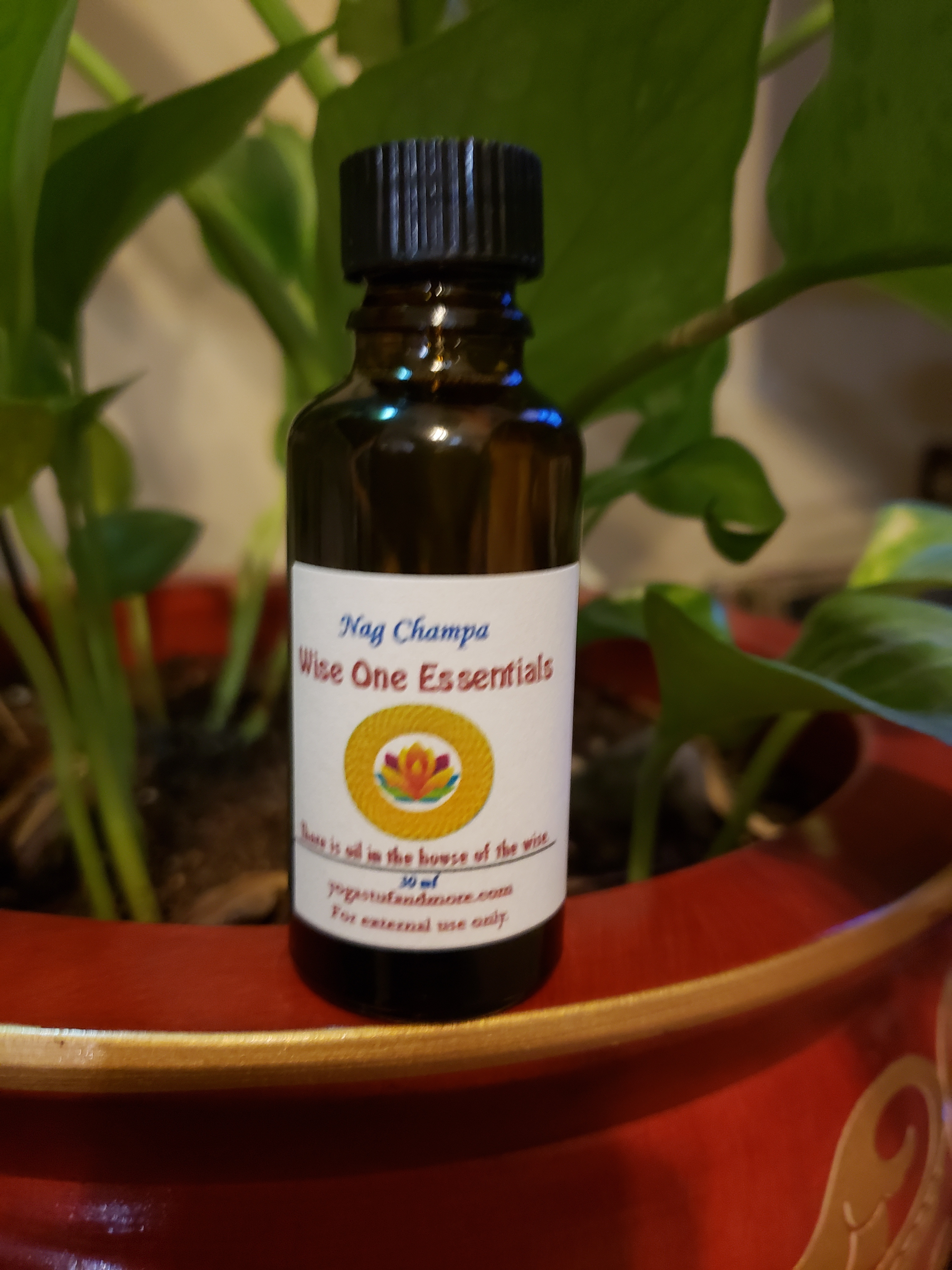 Nag Champa pnag2