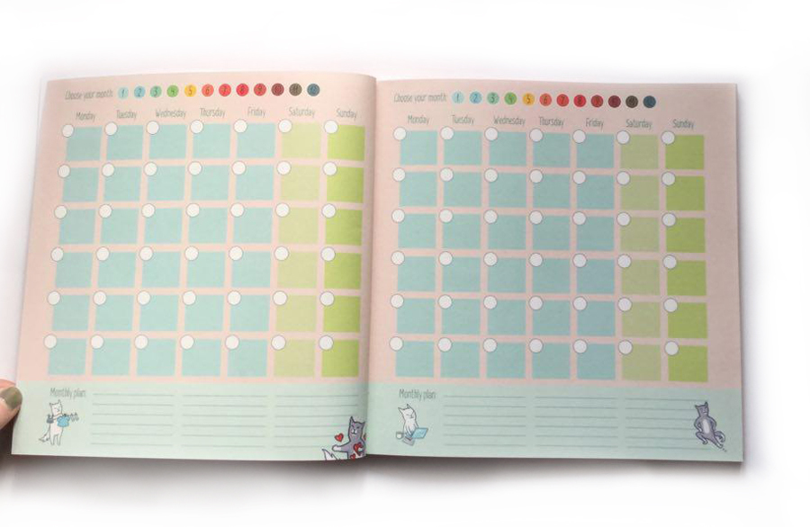 365 Days of a Very Busy Cat