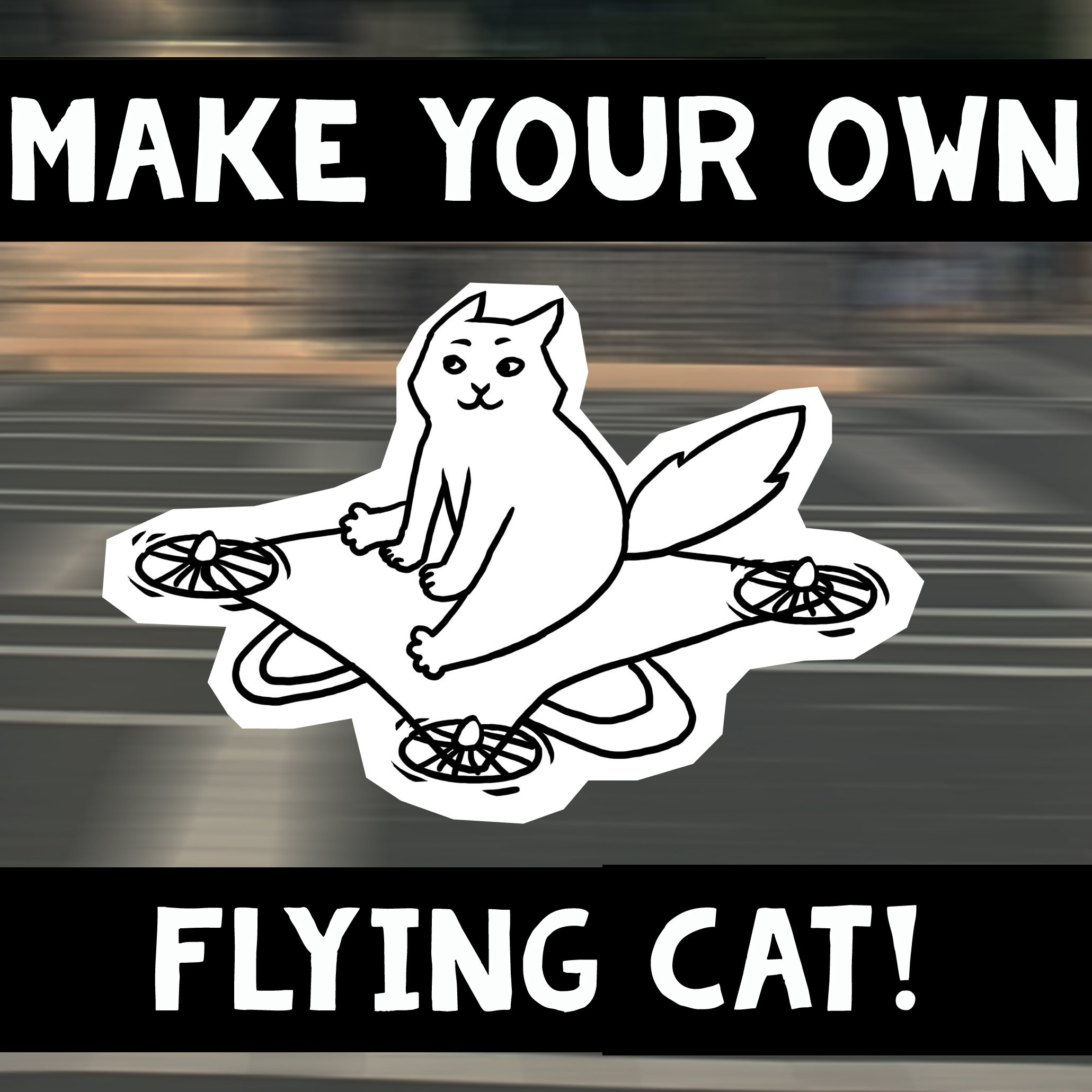 Make your own flying cat 00795