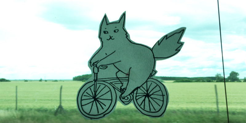 Make your own flying cat