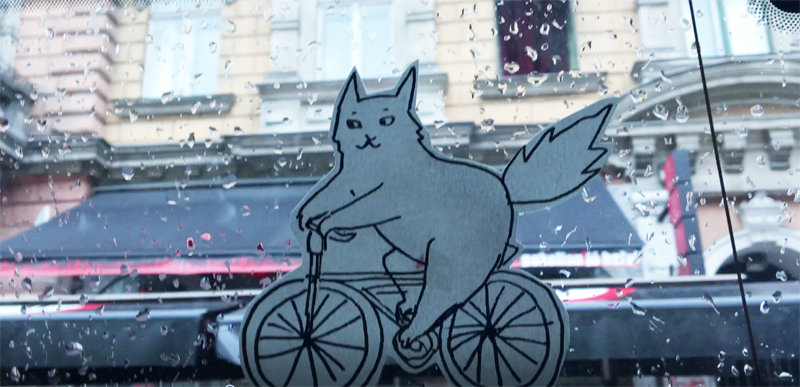 Make your own flying cat