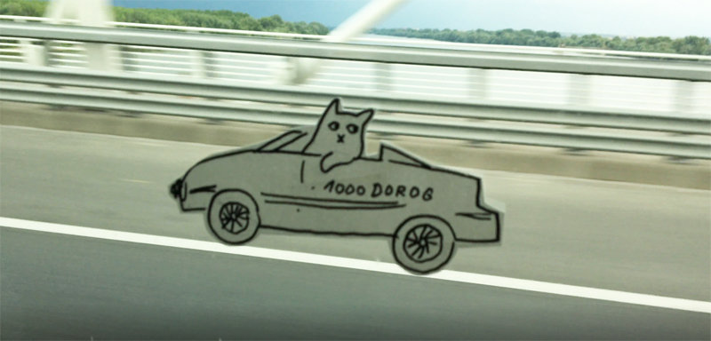 Make your own flying cat