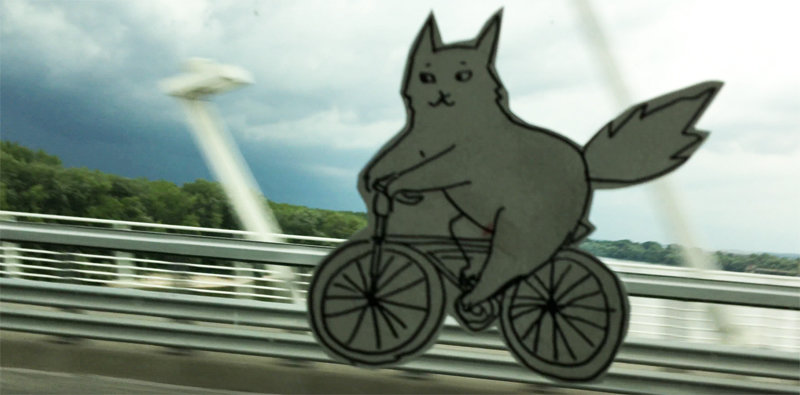 Make your own flying cat
