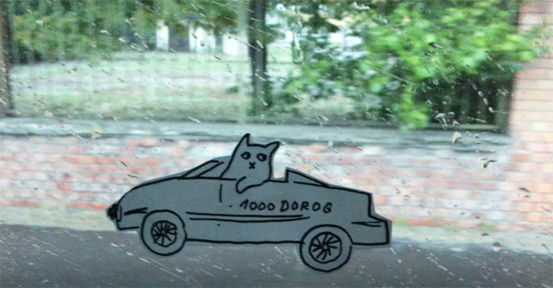Make your own flying cat
