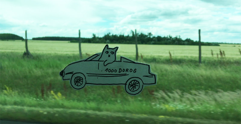 Make your own flying cat