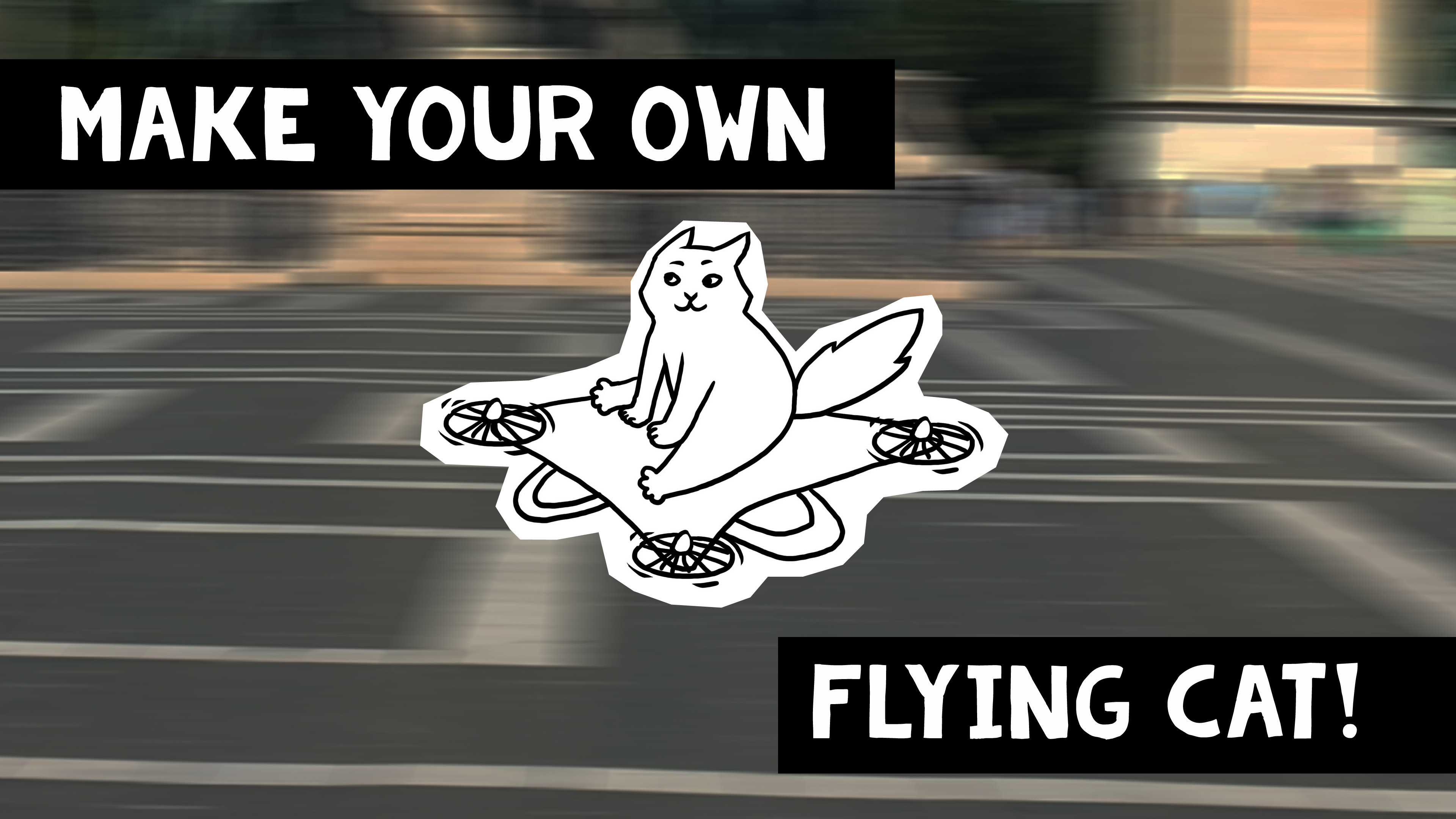 Make your own flying cat