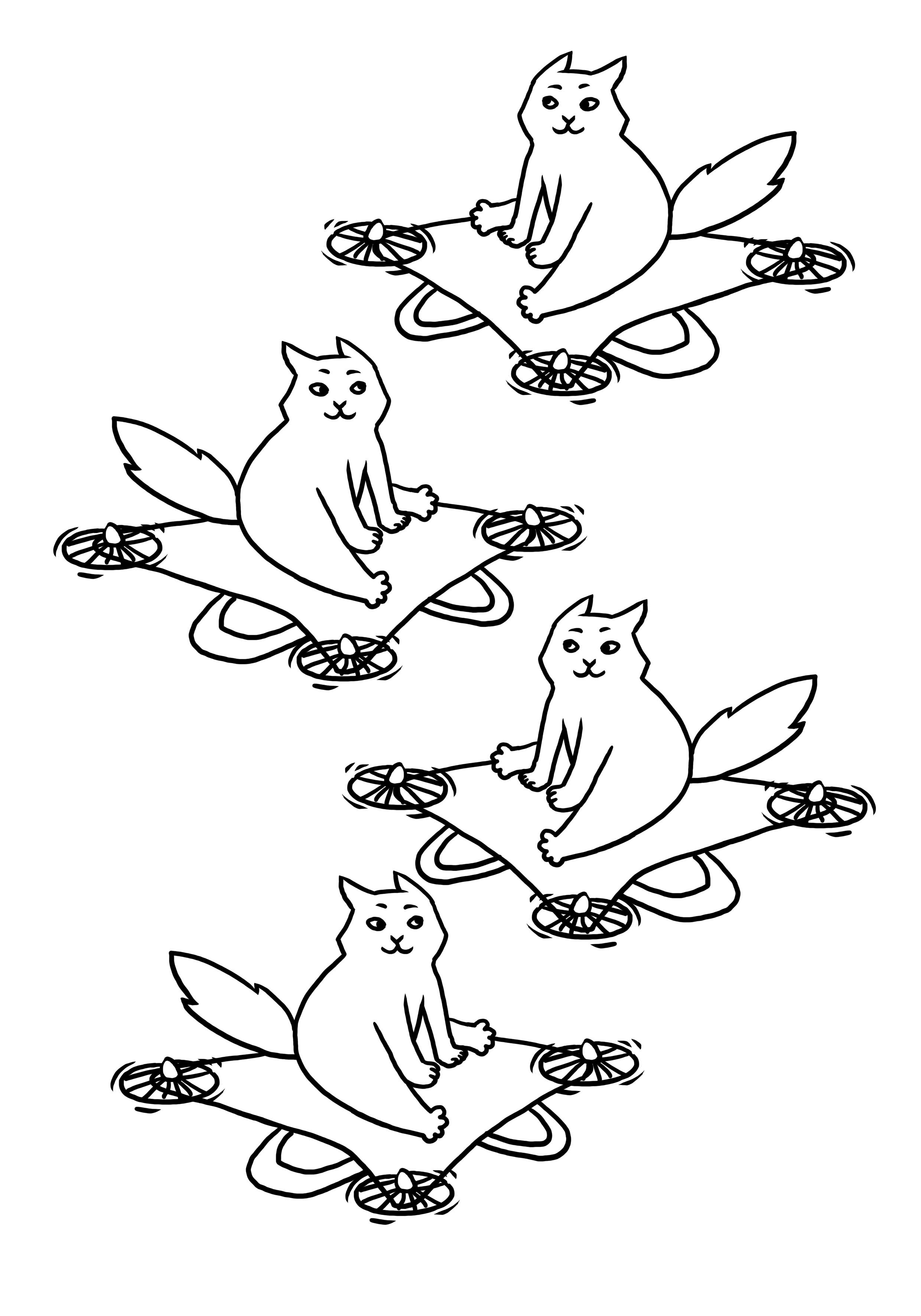 Make your own flying cat
