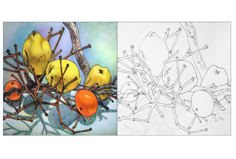 Drawing Like Svetlana Frank Coloring Book Vol. 3