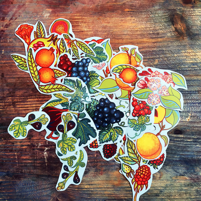 Big Fruit&Berries stickers set of 27