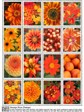 Orange Orange