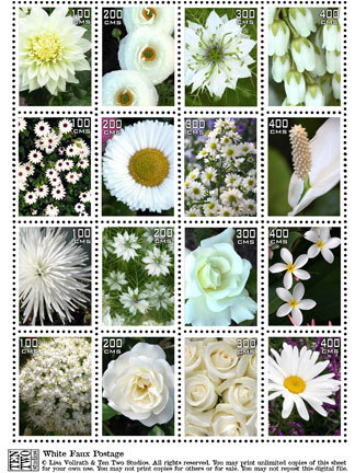 White White