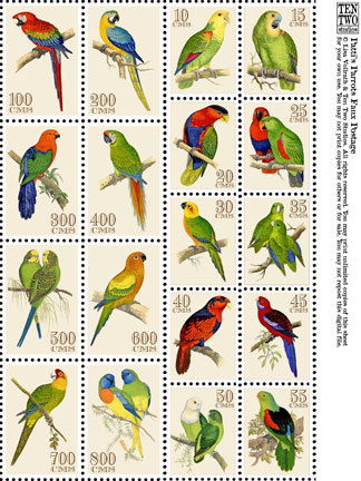 Patti's Parrots Patti's Parrots
